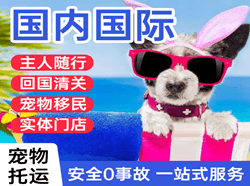 鄂托克旗乌兰机场快递国际宠物托运 【国